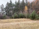 ул. Лесная (с. Свидивок, Черкасский район) - Продається ділянка під забудову, 17000 $ - АФНУ
